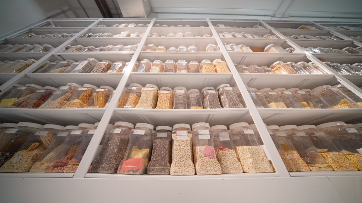 The Quiet Pantry: How Better Storage Changes the Way a Kitchen Feels