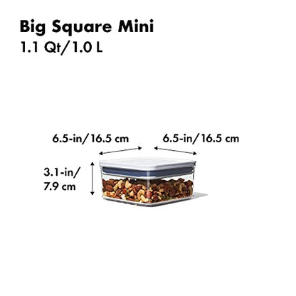 OXO Good Grips Pop Container