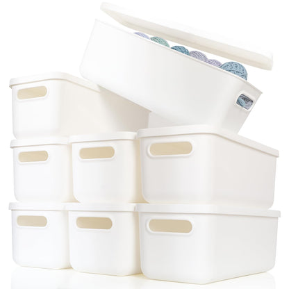 Plastic Storage Baskets with Lids, Woven Organizer Bins