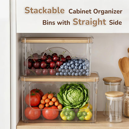 Hudgan Potato and Onion Storage Bin for Pantry Organizers